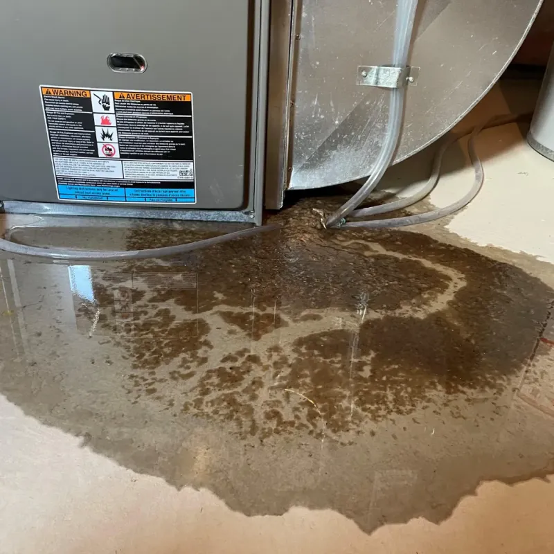 Appliance Leak Cleanup in Salisbury, MD